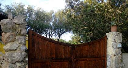 Apartment in Sardinia Near Surf Paradise