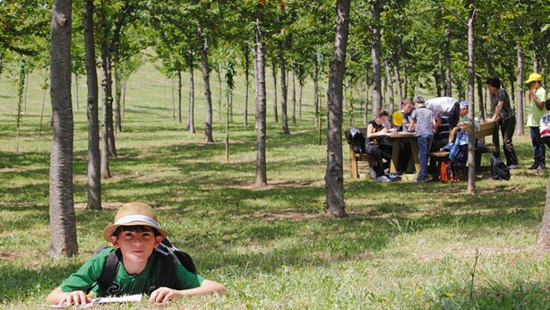 Un groupe de personnes s’est rassemblé autour d’une table dans un parc, avec des arbres en arrière-plan.