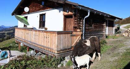 Cabin in Brixental by Ski Lift Access