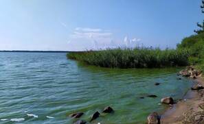 View from property - Holiday Cottage Near the Lake, Osieki (gmina Sianów)