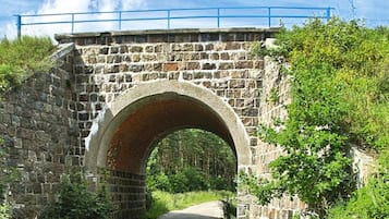 Un puente de piedra con arco sobre un sendero estrecho, rodeado de vegetación.