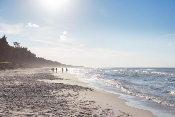 A beach with a clear sky, a sandy shore, and a forested area in the background.