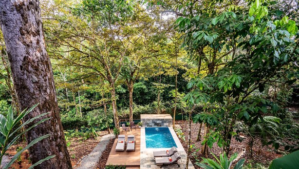A pool area with lounge chairs and a stone deck surrounded by dense greenery. - Casa Aluem in the Forest Close to the Beach (Bahía Ballena)