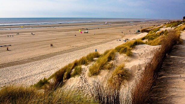 A beach with dunes and a clear sky. - Ferienwohnung in St. Peter-ording (St. Peter-Ording)