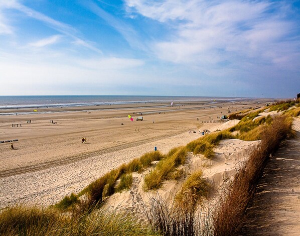 View from property - Ferienwohnung in St. Peter-ording (St. Peter-Ording)