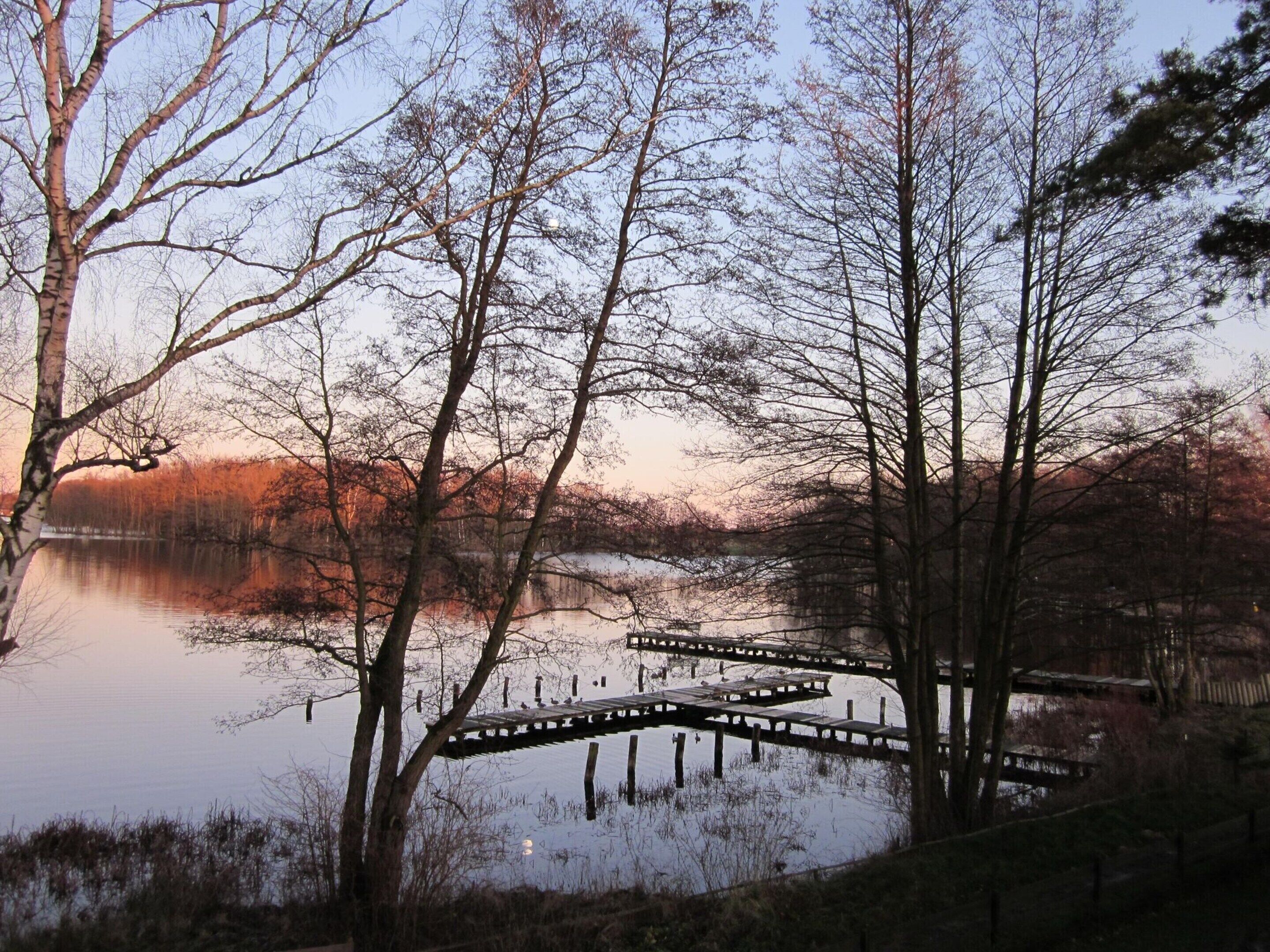 A serene lakeside scene with a wooden pier extending into the water, surrounded by leafless trees and a calm lake reflecting the sky.