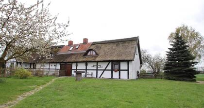 Ferienhaus in Wittendtsrp OT Pogress