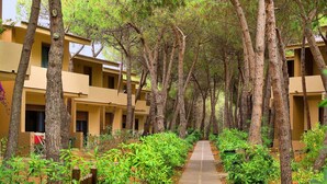 A pathway flanked by trees leading to a row of yellow buildings with balconies. - Residence Baia Verde, Valledoria (Valledoria)