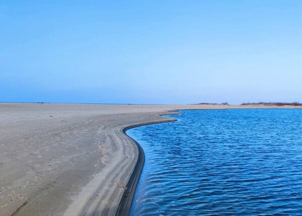 House | View from property - Holiday Home Sobieszewo Near Baltic Sea (Gdańsk)