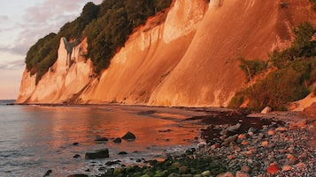 Apartment | View from property