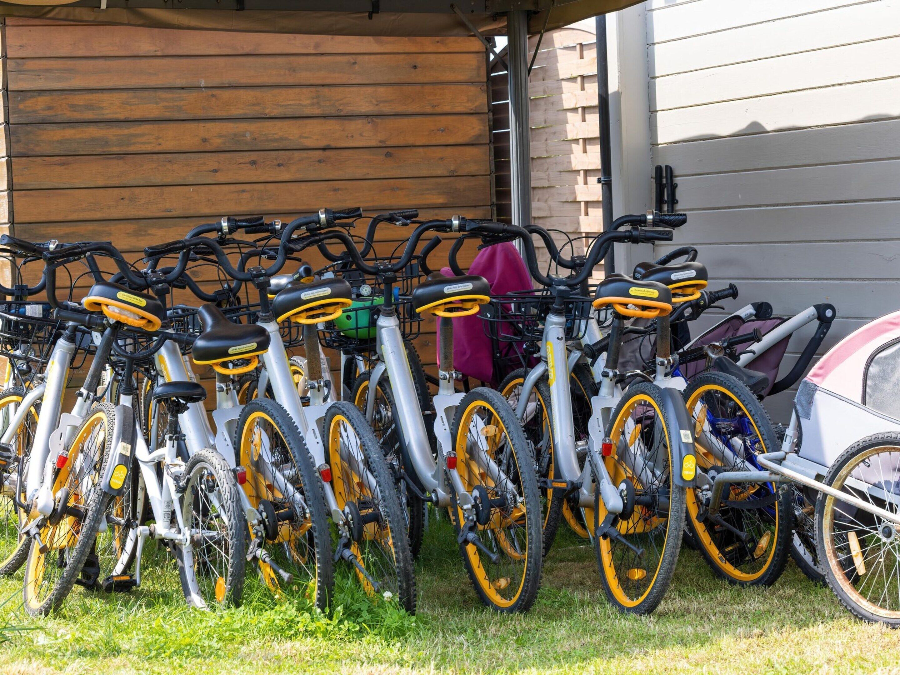 A row of bicycles parked outside a building with a wooden exterior.