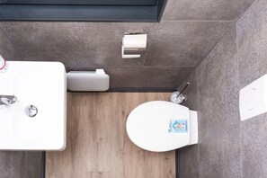 A compact bathroom with a wooden floor, a white sink, a toilet, and a towel dispenser. - Hausboot in Boltenhagen (Boltenhagen)
