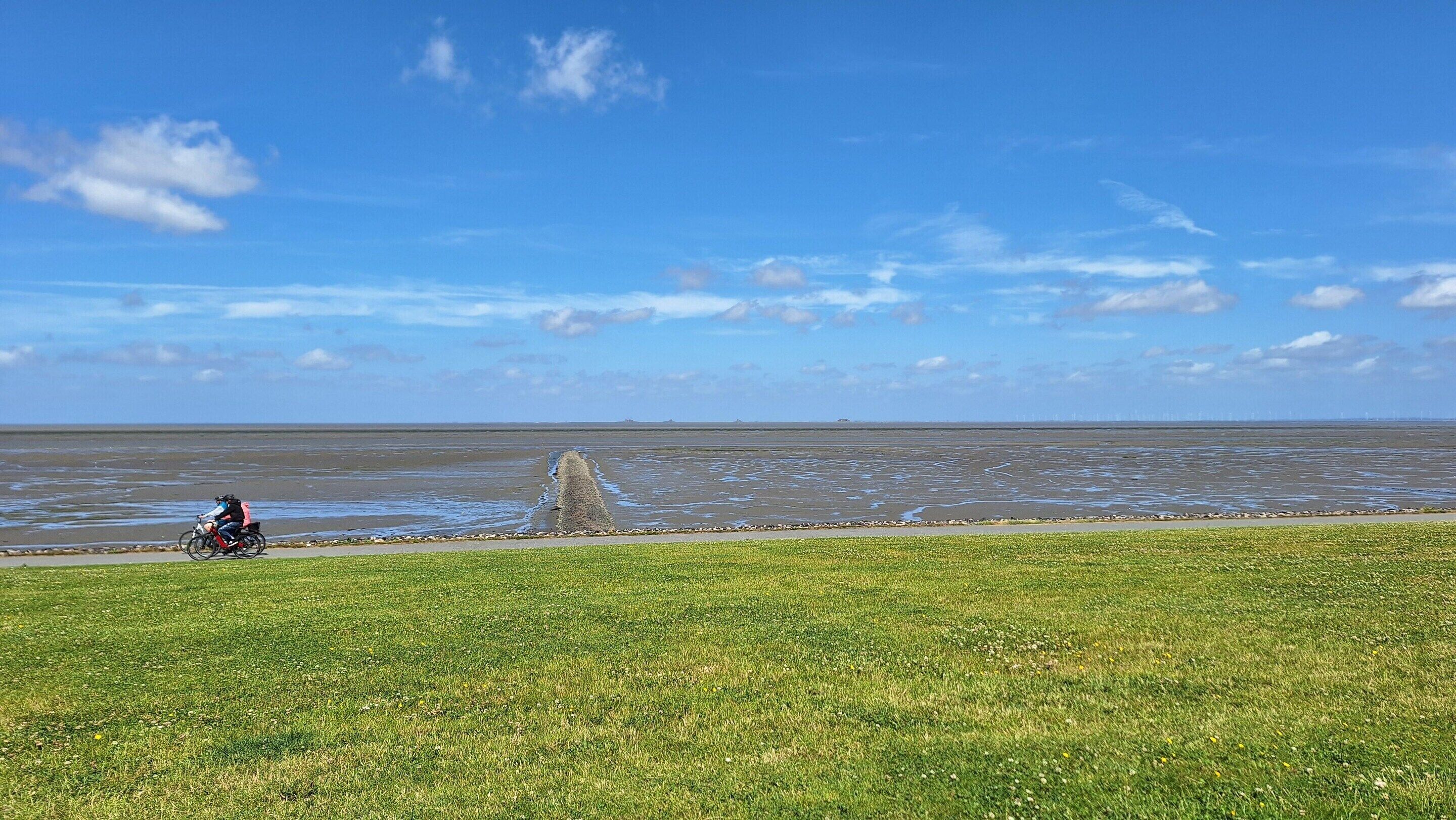 A coastal view with a grassy area and a paved path leading to the sea.