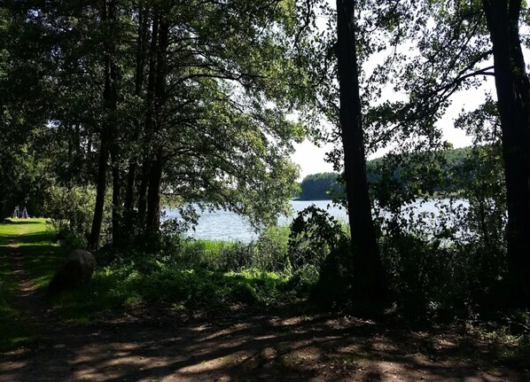 Un entorno natural con un lago, árboles y un sendero.