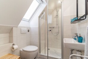 Bathroom features a skylight, toilet, glass-enclosed shower, and sink with mirror.
