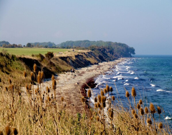 A coastal landscape with a sandy beach, grassy dunes, and a cliff with vegetation. - Aparthotel Museumshof auf Fehmarn (Fehmarn)