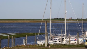 Un port de plaisance où sont amarrés plusieurs voiliers, avec des poteaux en bois et un ciel dégagé.