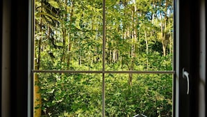 Une fenêtre donnant sur une forêt dense.
