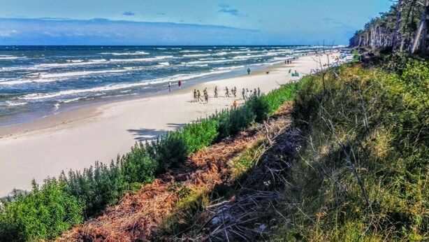 Een strand met golven, mensen en begroeiing.