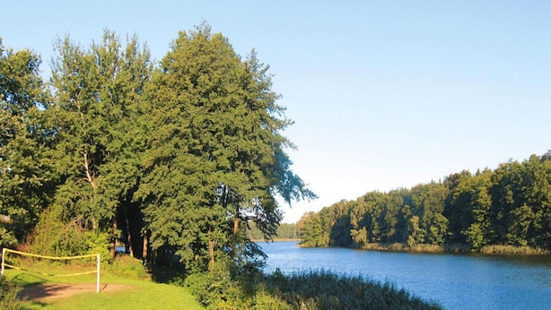 Un entorno tranquilo junto al lago, con un área cubierta de césped, árboles y una vista despejada del agua.