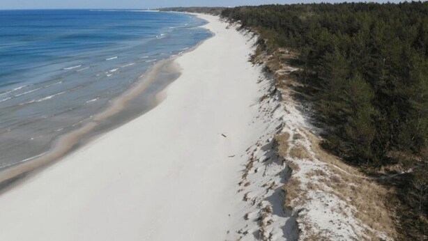En strand med en sandstrand och ett område med skog.