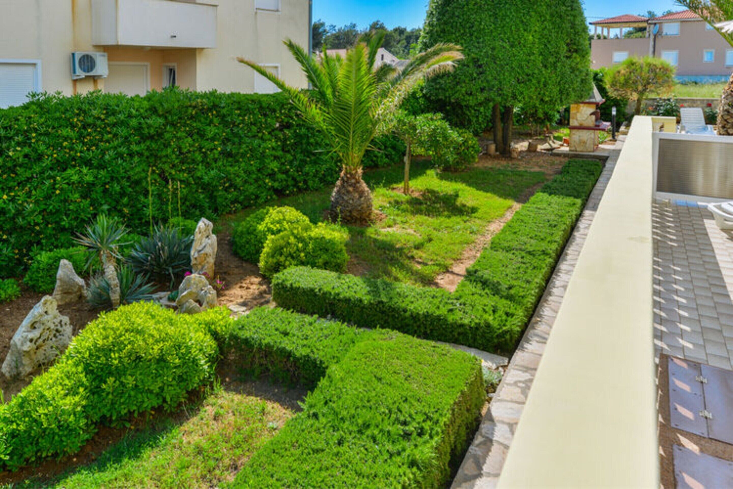 Ein gepflegter Garten mit ordentlich geschnittenen Hecken, einer Palme und verschiedenen Pflanzen.