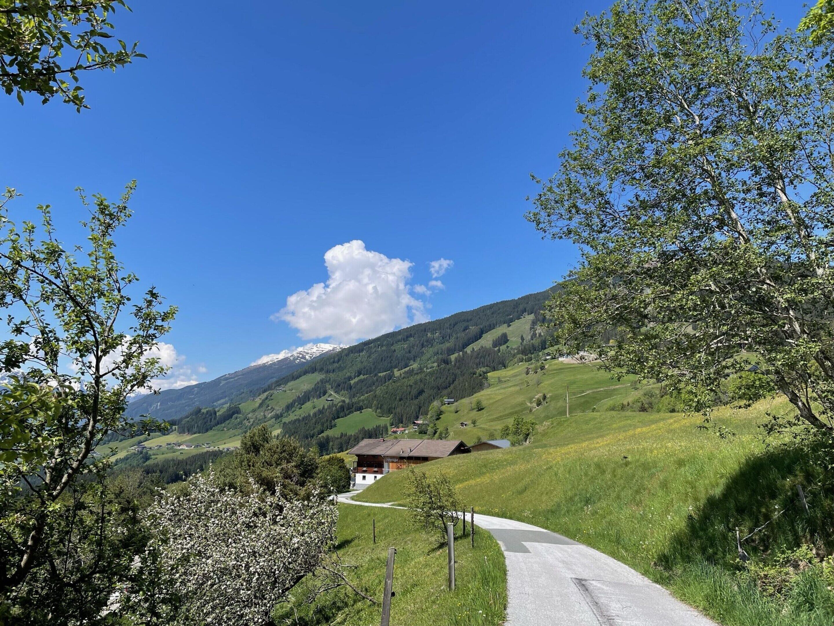 Une route de campagne menant à une maison entourée de collines verdoyantes et sous un ciel bleu clair.