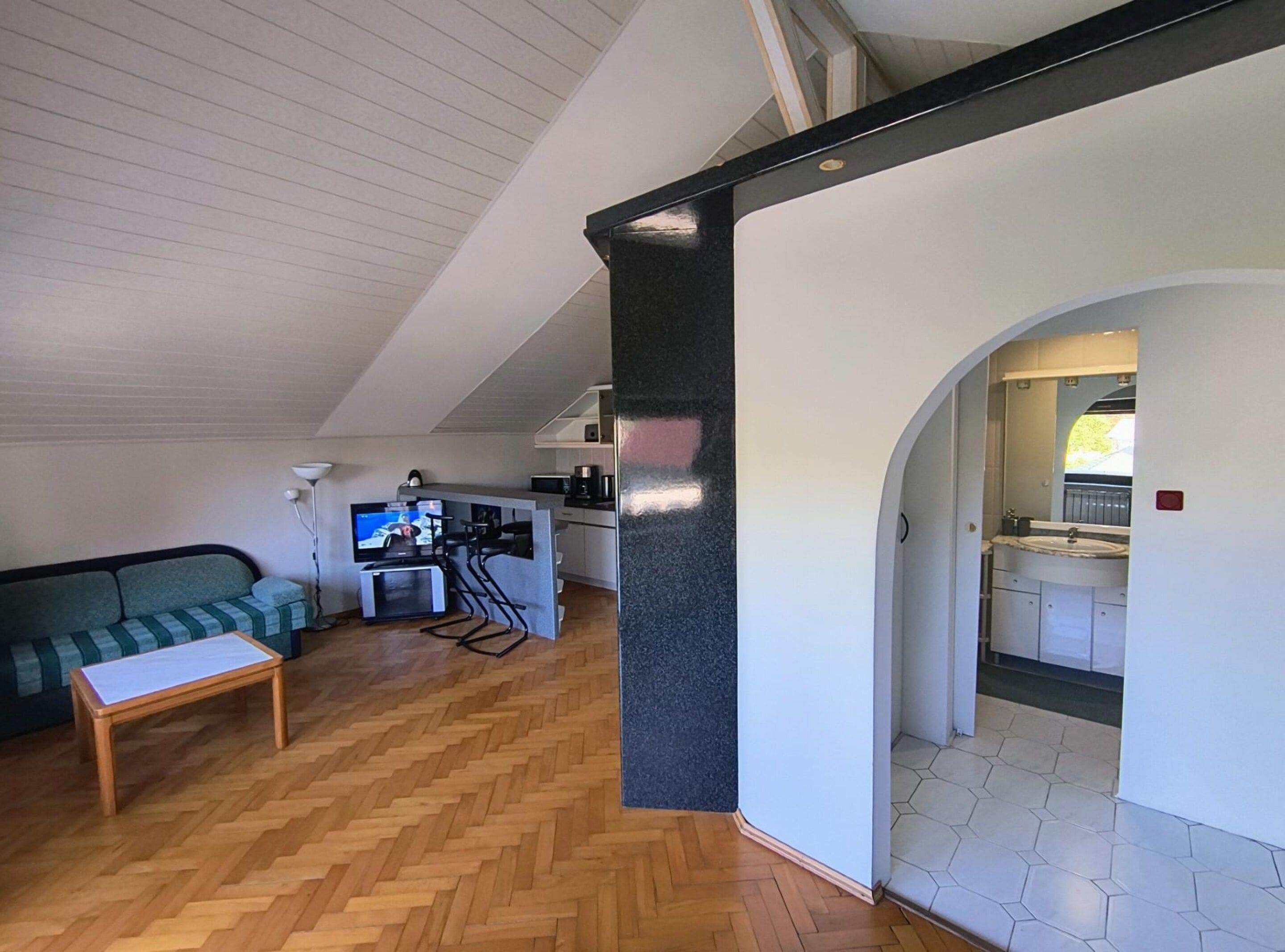 A compact living space with a kitchenette, a sofa, a dining area, and a bathroom with a vanity.