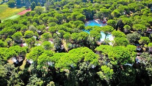 An aerial view of a residential area with a swimming pool surrounded by lush greenery and trees. - Bungalow in the Residence Belvedere in Grado (Aquileia)