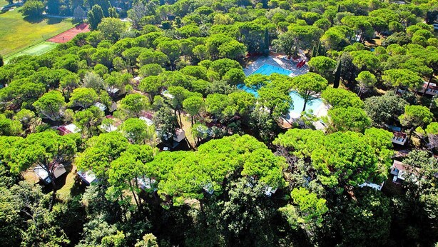 An aerial view of a residential area with a swimming pool surrounded by lush greenery and trees. - Bungalow in the Residence Belvedere in Grado (Aquileia)