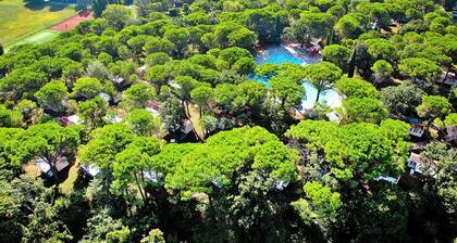 Bungalow in the Residence Belvedere in Grado