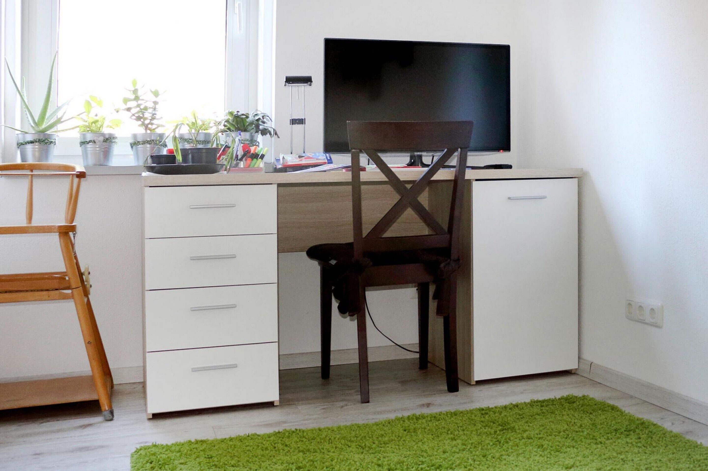 A modern office space with a desk, chair, television, and potted plants.