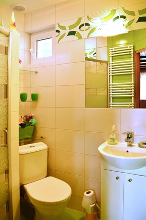 A bathroom with a toilet, sink, and shower area. - House Near Lake Zawiat and Baltic Sea (Wejherowo)
