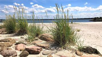 A beach with sand, rocks, and tall grass.