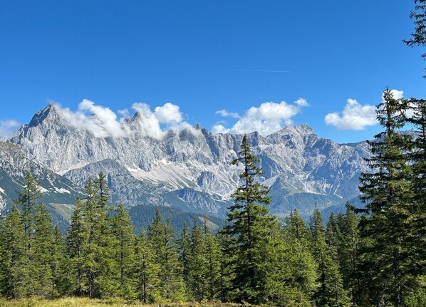 A mountainous landscape with dense coniferous trees in the foreground and rugged, snow-capped peaks in the background. - Apartment in Filzmoos Near Ski Amade (Filzmoos)