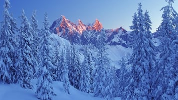 Apartment | View from property