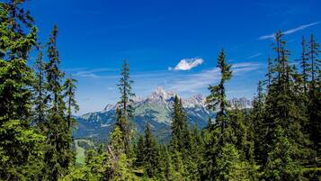 Apartment | View from property