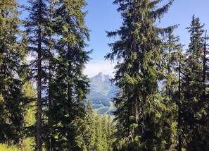 Vista desde la propiedad