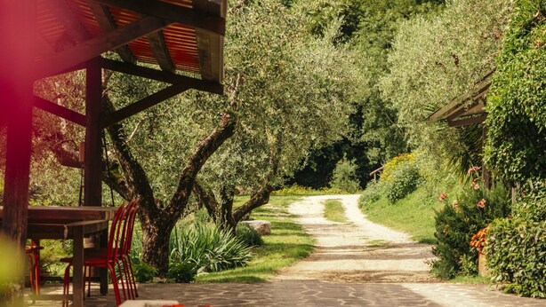 A stone pathway leading through a garden with olive trees and red flowers. - Il Limone Lake View at Nautic Resort San Carlo (Gargnano)