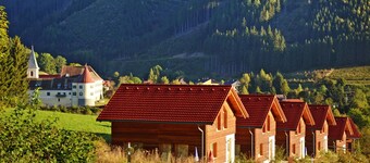 Chalet in Gaal by Ski Slopes & Bathing Pond