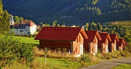Chalet in Gaal by Ski Slopes & Bathing Pond