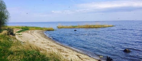 Vista desde la propiedad