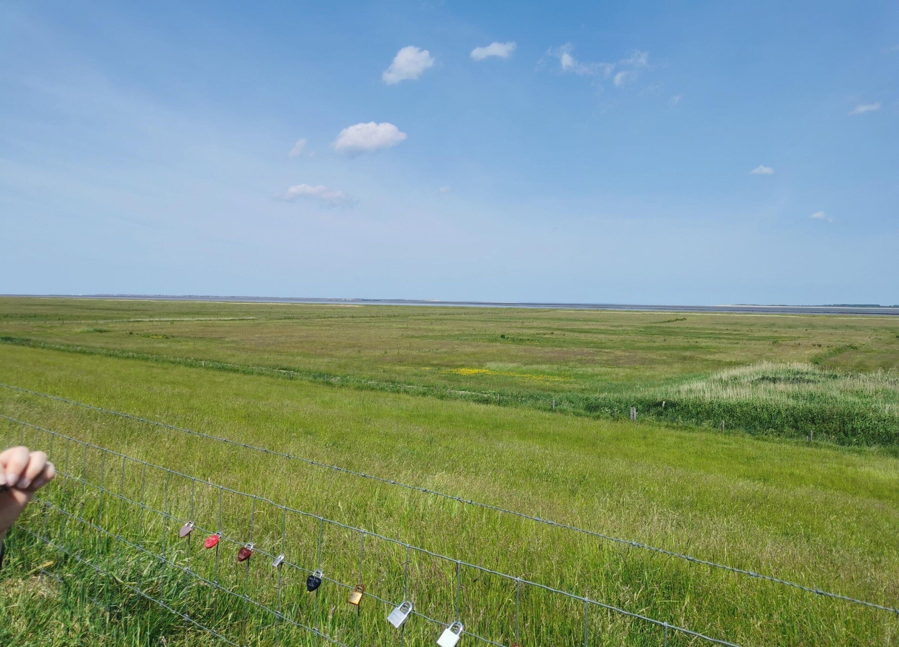 Un ampio campo aperto con cielo sereno e una recinzione in primo piano.