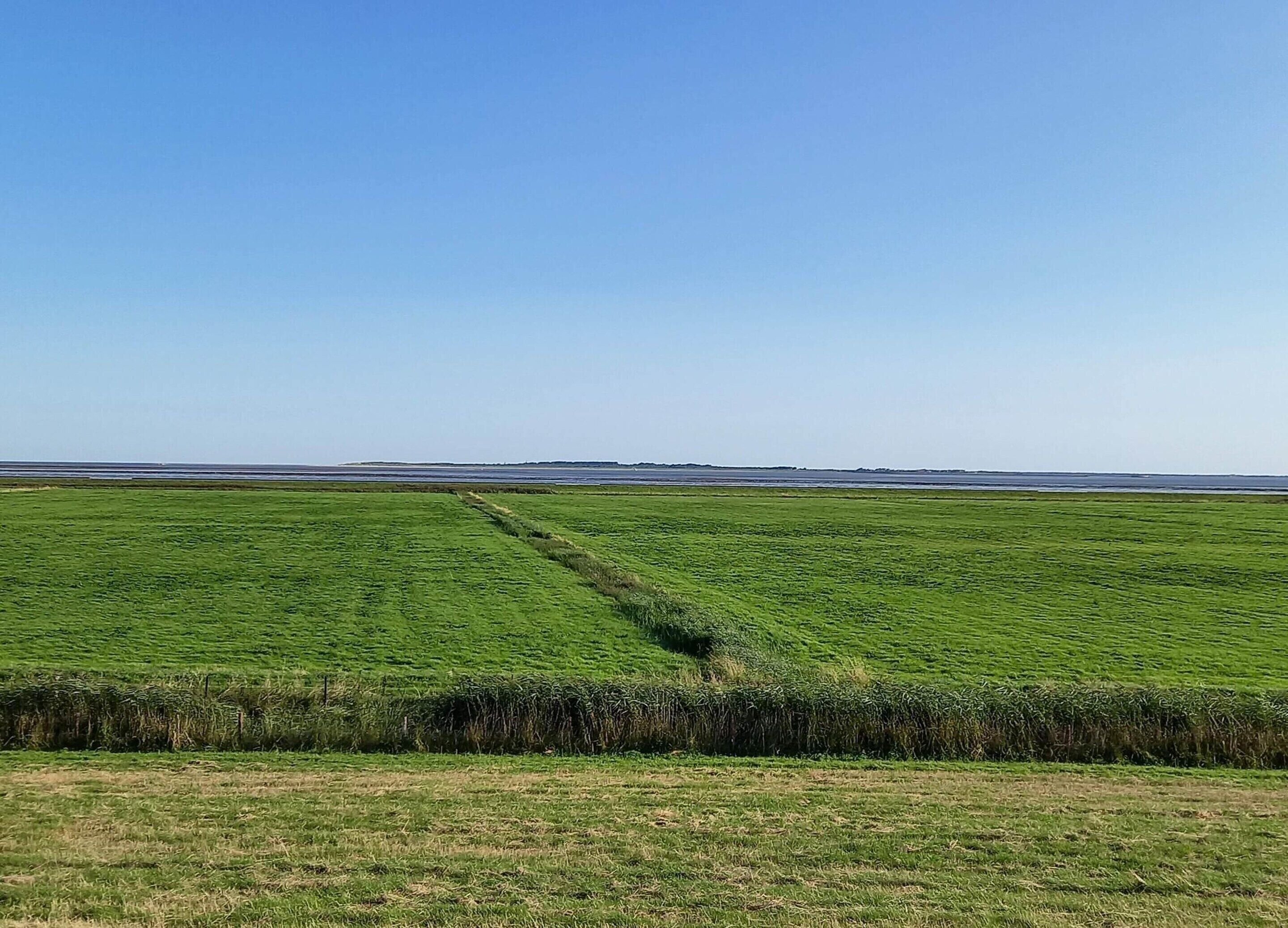 Een uitgestrekt groen veld met een heldere lucht.