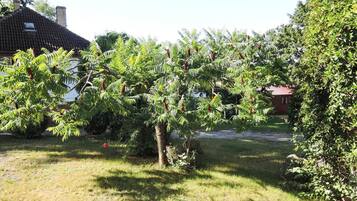 Bungalow | Pemandangan dari properti