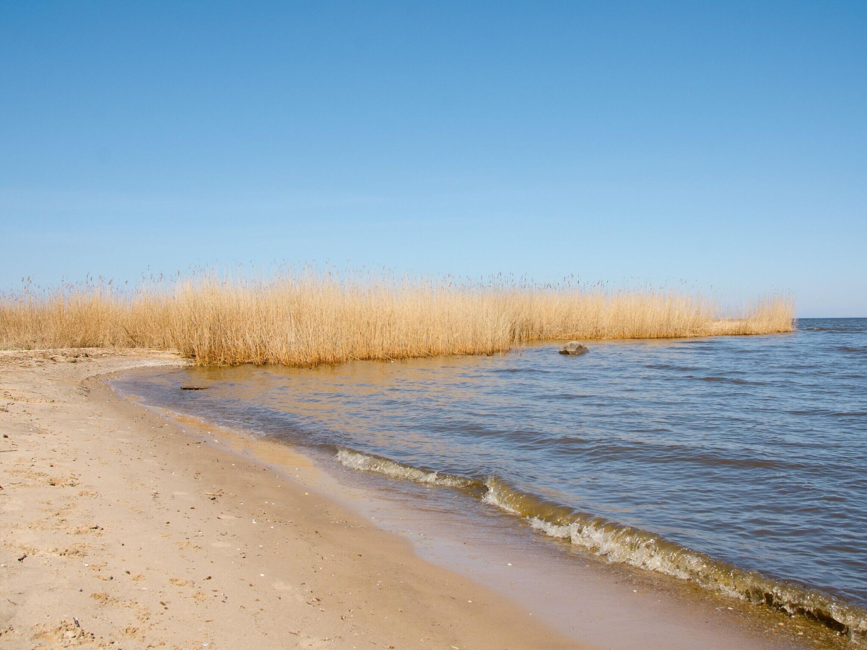 House | View from property
