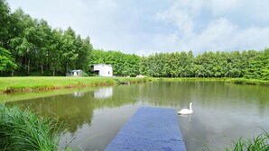 Ein ruhiger See mit einem hölzernen Steg, der ins Wasser führt, ein weißes Gebäude und üppiges Grün im Hintergrund.