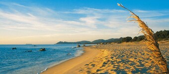 Apartment on Costa Rei Near Sandy Beach