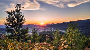 Apartment | Blick von der Unterkunft