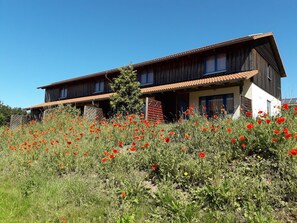 House | Exterior - Ferienpark Harz in Hasselfelde (Oberharz am Brocken)